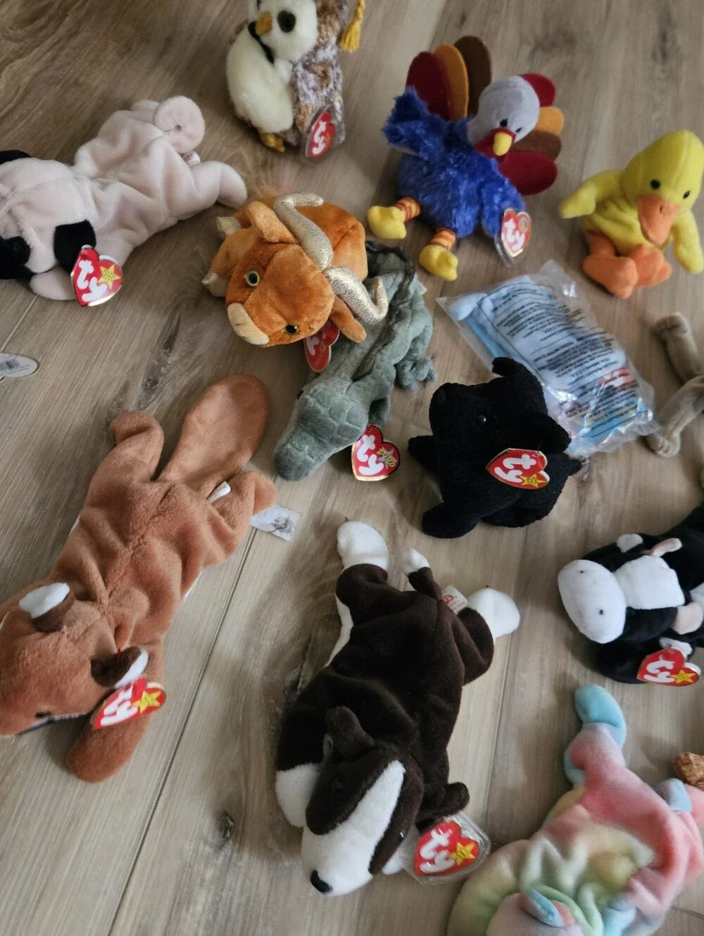 Lot Of 17 Ty Beanie Babies Small Pet Plush Lot Beanie Baby Lot Huge Haul